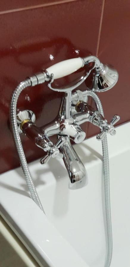 Pensiunea Baroc Dobirlau エクステリア 写真