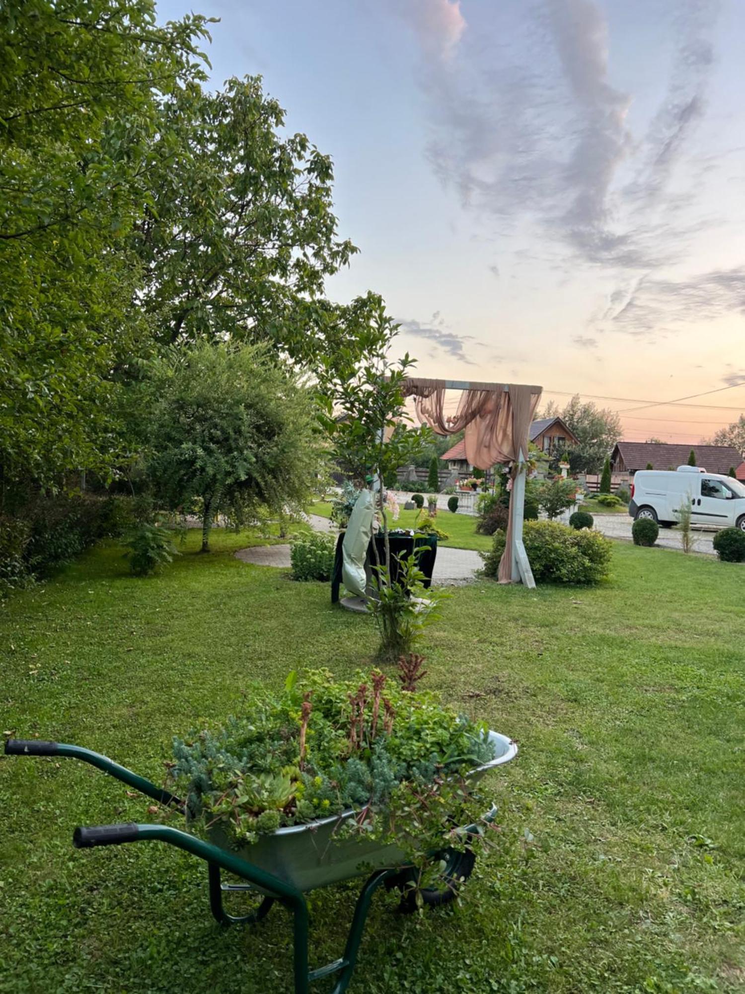 Pensiunea Baroc Dobirlau エクステリア 写真